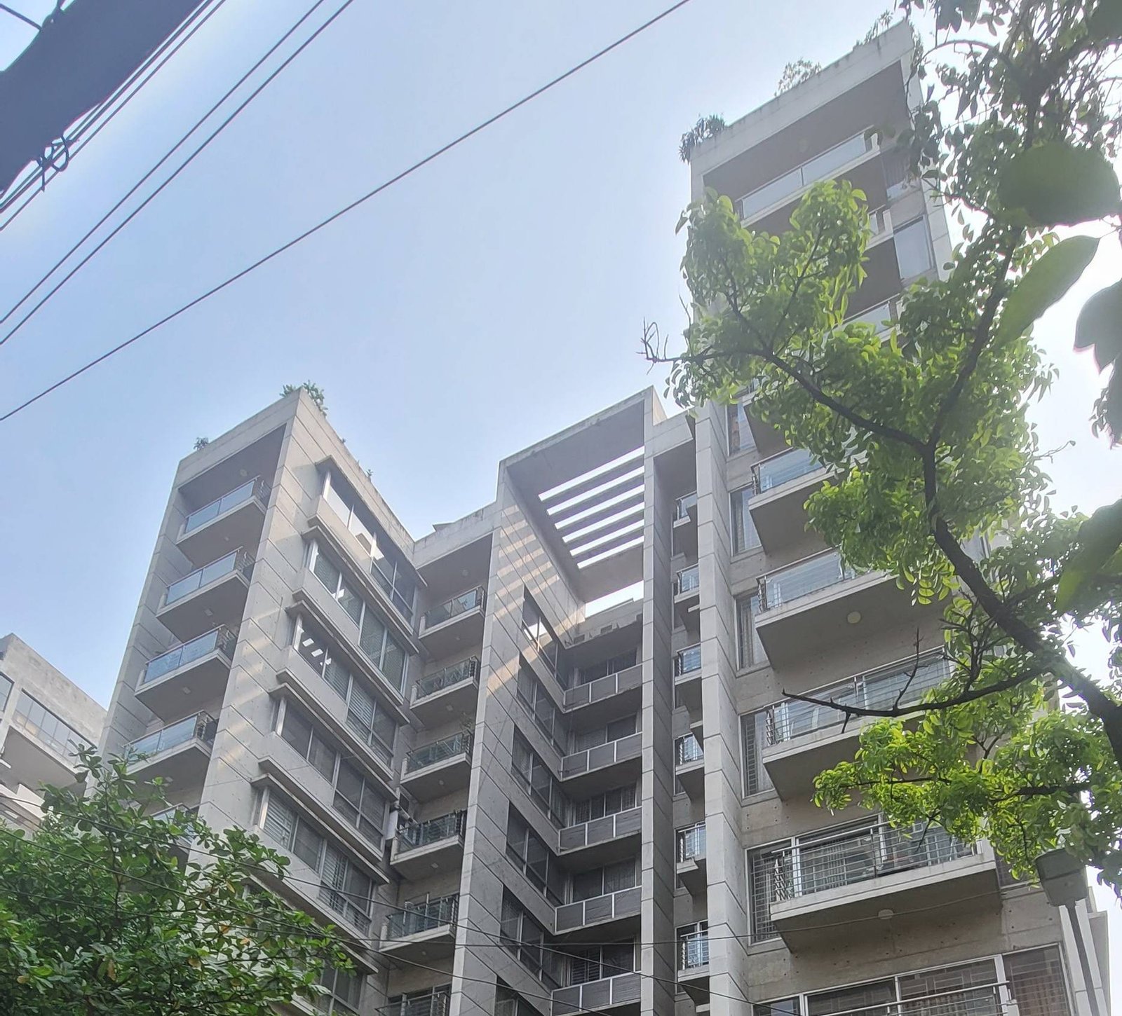 MAHUBUBA WASIM — gallery image 1