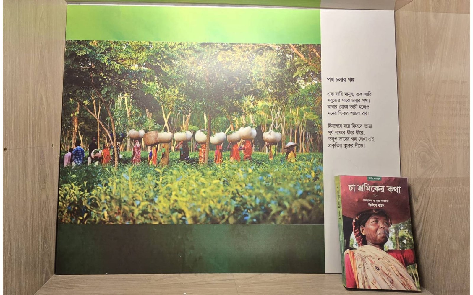 Alokdhara — gallery image 20