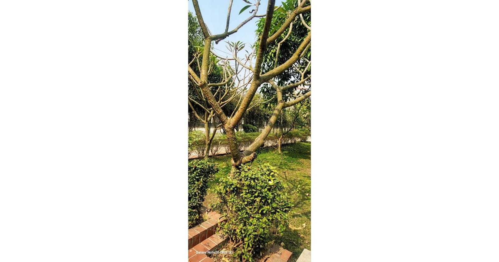 DC PARK  MUNSHIGANJ — gallery image 19