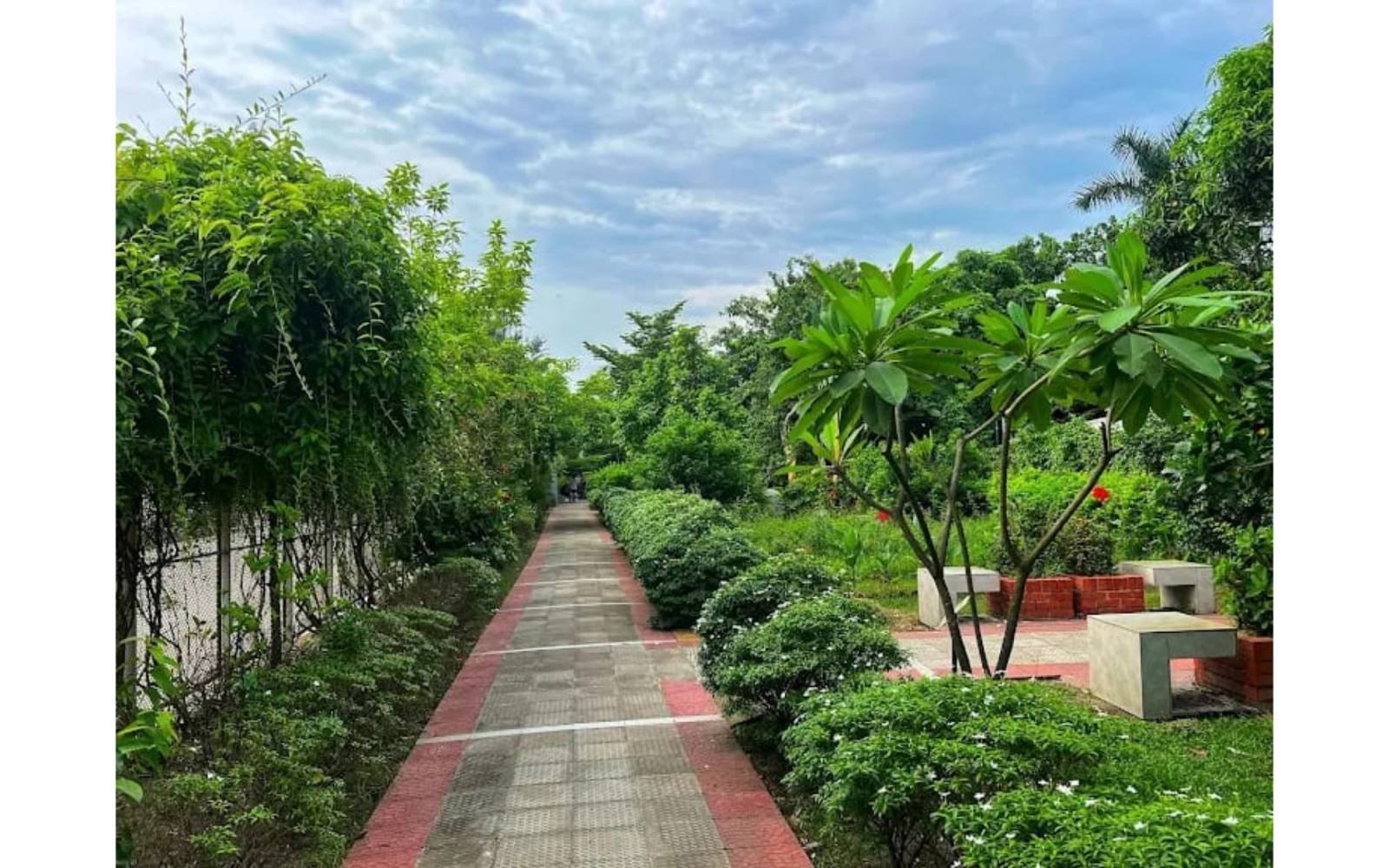 DC PARK  MUNSHIGANJ — gallery image 4
