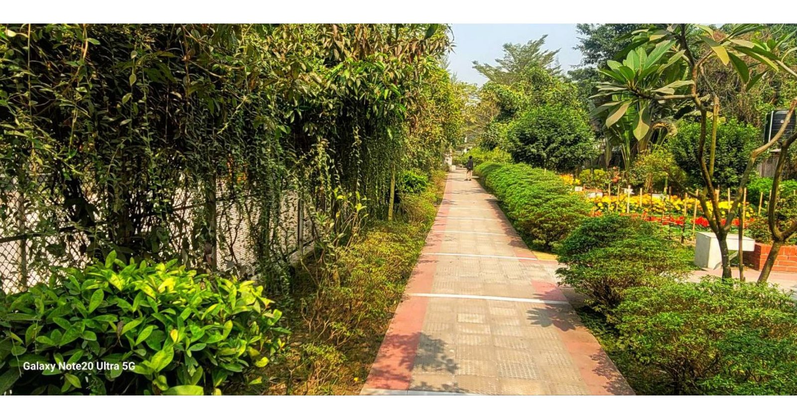 DC PARK  MUNSHIGANJ — gallery image 15